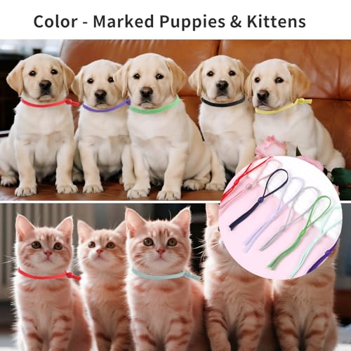 60 Stück Welpen ID Halsbänder Einstellbar Welpenhalsband Kitten Halsbänder Mehrfarbiges Nylon Welpenhalsbänder für Züchter WelpenHalsbänder Set für Neugeborene Welpens Kätzchen, 12 Farben