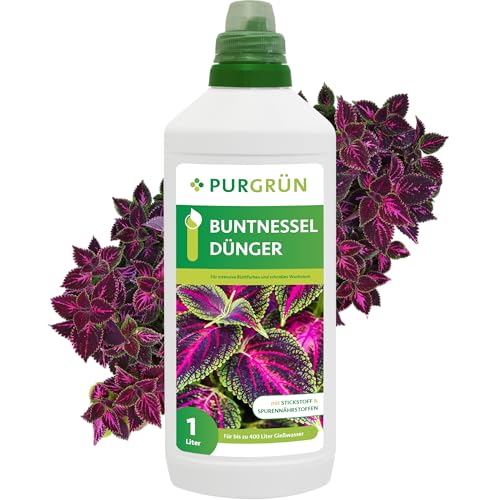 Purgrün® Buntnessel-Dünger 1 Liter – Intensiviert die...