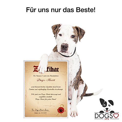 DOGS-HEART Geflügel & Kartoffel (5kg) Getreidefreies Hundefutter mit hohem Fleischanteil, Glutenfrei