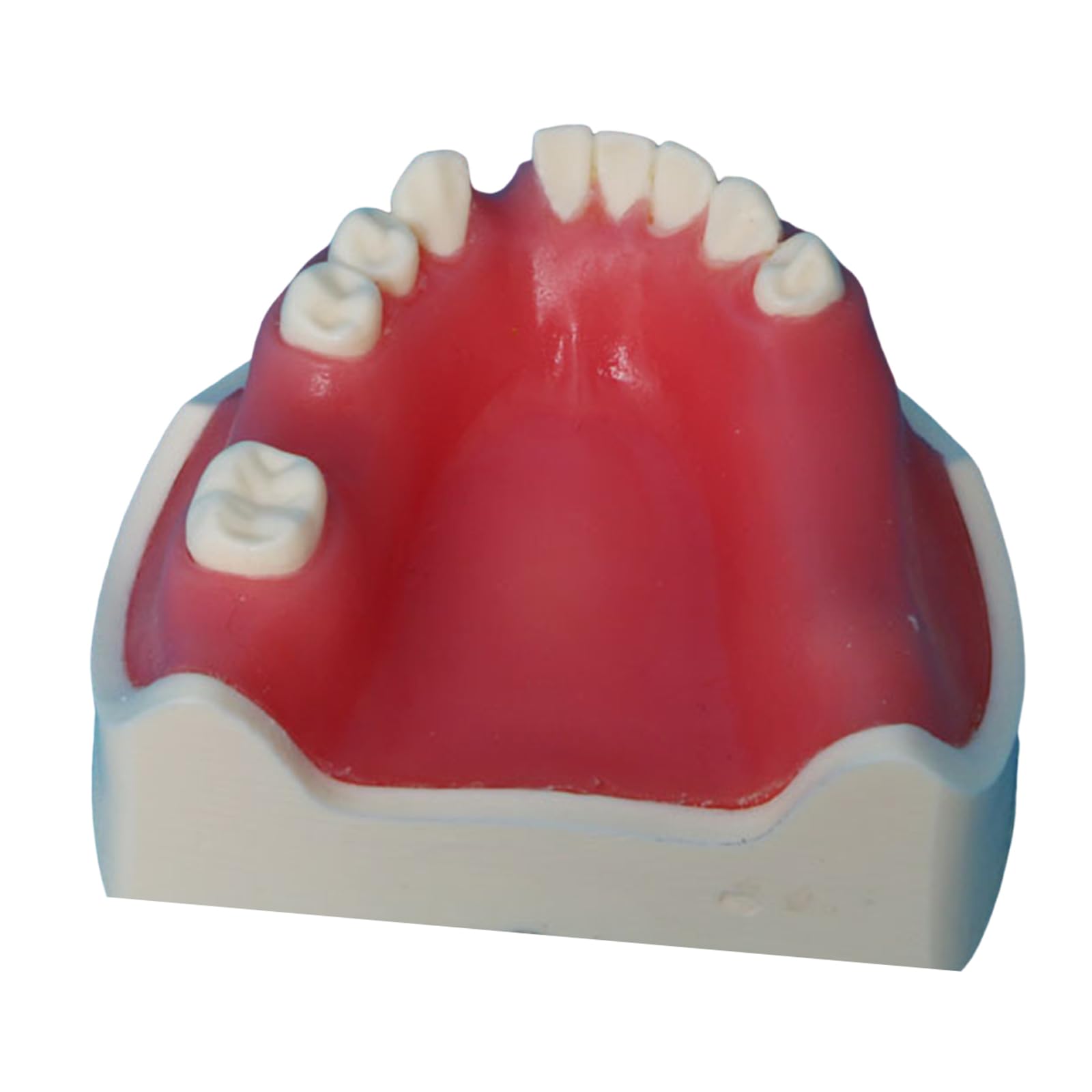 Modello di impianto Dentale - Modello di impianto mandibolare Medico e odontoiatrico - per Studio didattico Displaymedical Model,A5-8cm