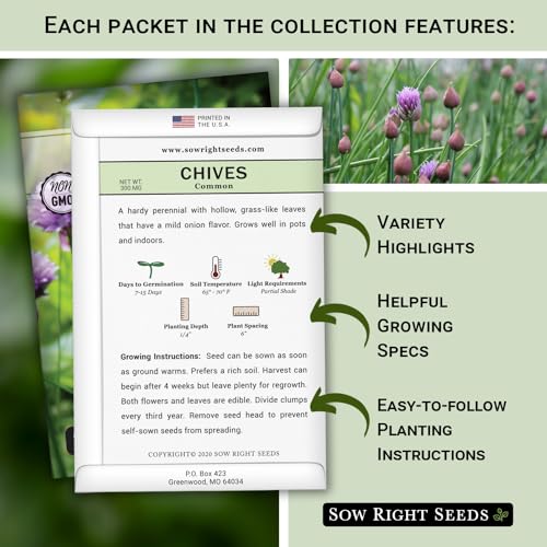 Sow Right Seeds - Chives Seed Collection for Planting - Non-GMO Heirloom Common and Garlic Varieties - Ideal for Outdoor Planting, Containers, or Kitchen Gardens - Culinary Favorites - Gardening Gift - Image 2