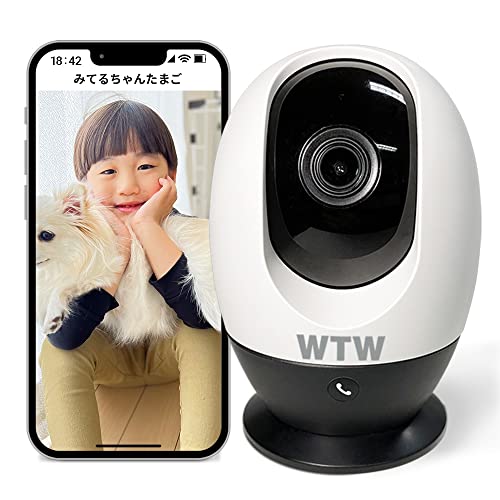 Amazon.co.jp: WTW 塚本無線 みてるちゃんたまご 防犯カメラ 400