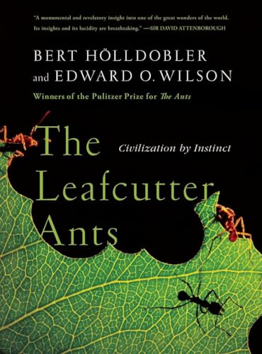 The Leafcutter Ants view 2