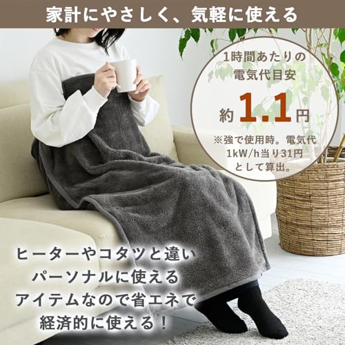 [山善] 電気毛布 ひざ掛け 100×70cm 洗える 「足がスッポリ入る」消臭加工 ダニ対策機能 切り忘れ防止タイマー付き 温度調節3段階 コントローラー収納ポケット付 YHK-SP61