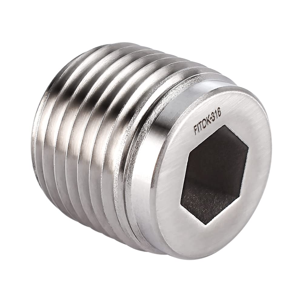 FITOK 316 Stainless Steel Pipe Fitting Hollow Hex Plug, 3/8'' Male NPT, SS-PI-NS6