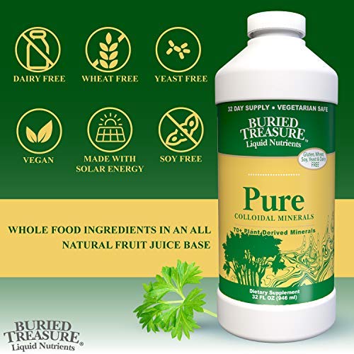Buried Treasure Pure Colloidal Minerals 70 Plus Plant Derived Minerals from Eden Era Natural