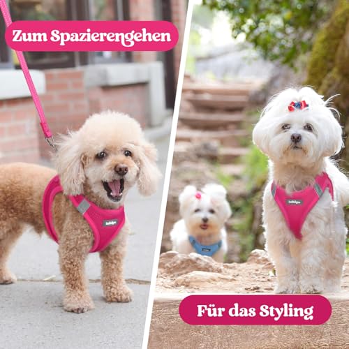 rabbitgoo Hundegeschirr Kleine Hunde, Step-in Welpengeschirr Weich Mesh für Spaziergänge, Atmungsaktives und Reflektierendes Brustgeschirr für Kleine und Mittelgroße Hunde, Rosarot, M
