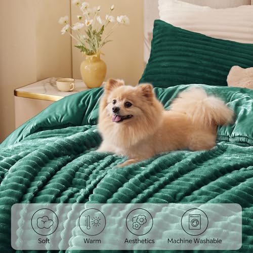 BEDELITE Fleece Queen Comforter Set -Super Soft & Warm Fluffy Dark Green Bedding, Luxury Fuzzy Heavy Bed Set for Winter with 2 Pillow Cases