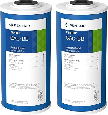 Pentair Pentek GAC-BB Big Blue Carbon Water Filter, 10-Inch, Whole House Heavy Duty Granular Activated Carbon (GAC) Replacement Cartridge, 10" x 4.5", Pack of 2