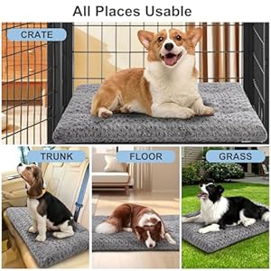 Verzey Dog Beds Crate Pad Mat for Large Dogsfits Dog Crate Kennel Cagecomfortable Soft Fluffy Cushion Antislip Pets Cat Pillow Bed 42 L X 28 Wgray  Cucciolini Doodles Verzey dog beds crate pad mat for large dogsfits dog crate kennel cagecomfortable soft fluffy cushion anti slip pets cat pillow bed 42 l x 28 wgray   cucciolini doodles
