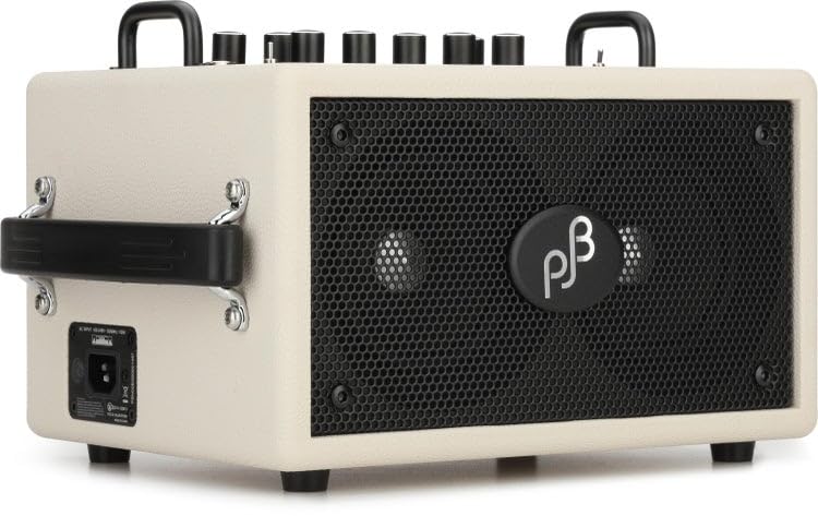 Amazon.com: Phil Jones Bass BG-80 Double 4 Plus 90-watt Bass Combo