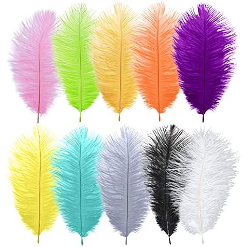 50 Pieces Real Natural Ostrich Feathers 8-10 Inch for Christmas Decoration Tree Costumes Headdresses Wedding Centerpieces Home Decoration (Assorted Colors) Cover