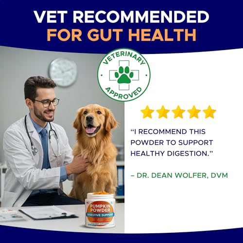 Image of Pumpkin Powder for Dogs - High Fiber for Dogs Stool Softener - Treat Diarrhea, Constipation, Upset Stomach, Food Sensitivity - Made in USA - 7.4 oz Oragnic Pumpkin