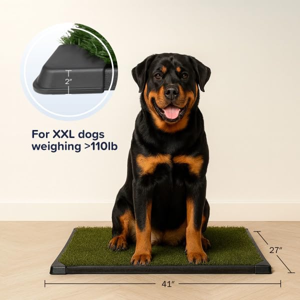 Image of Artificial Grass Puppy Pee Pad for Dogs and Small Pets - 41X27 Inch, Reusable 4-Layer Turf Pads for Dogs with Tray - Indoor and Outdoor Fake Grass Potty Pet Supplies by PETMAKER