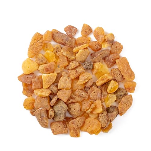 Piedras crudas de ámbar con agujero perforado (20 Grams)   Chips bálticos 100% naturales para joyería y cuentas