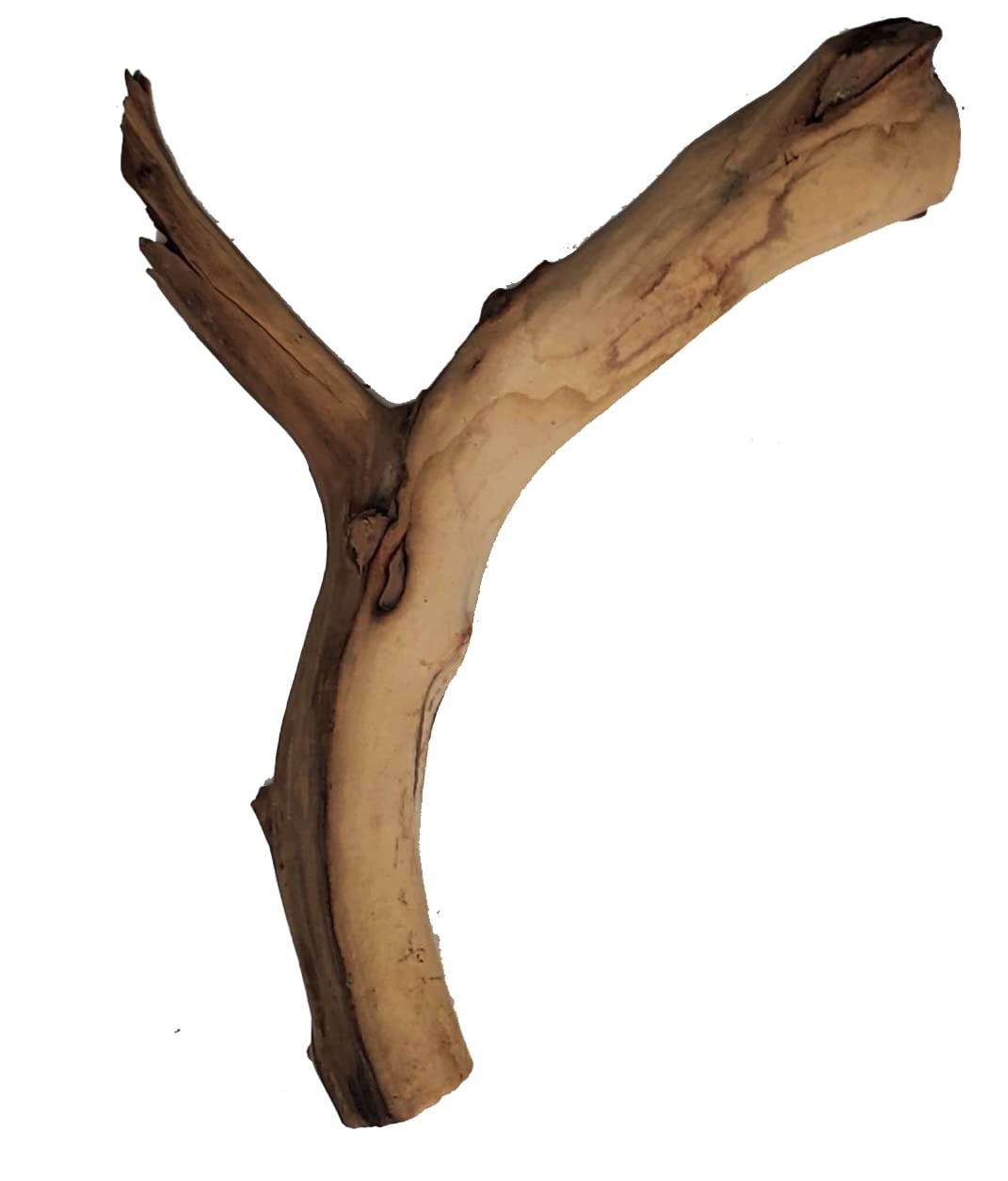 Josh's Frogs Manzanita Wood (Medium)