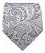 100% Woven Silk Platinum Organic Paisley Tie