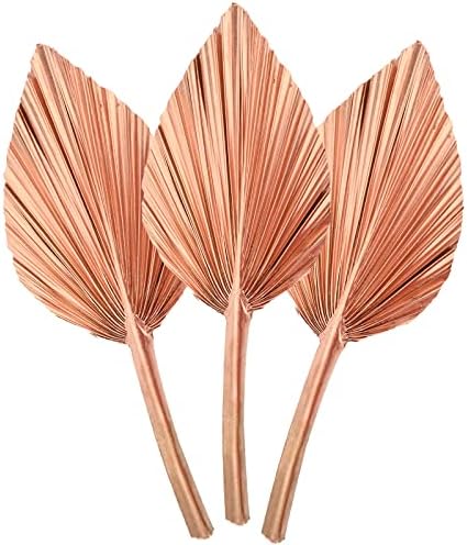 3Pcs Dried Palm Leaves,Natural Dried Palm Spears,Small Dried Palm Fan Colour Palm Spears Plant with Stem Boho Home, Party ,Wedding,Wall,Cake ,Decorating,DIY bouquet Arrangement