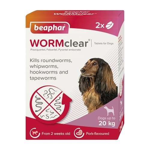 Beaphar - WORMclear Tablets for Dogs up to 20kg - 2 Tablets - Kills All Common UK Intestinal Worms (Roundworms & Tapeworms) - Vet Strength Wormer - Pork-Flavoured - For dogs over 2 weeks old & 3kg