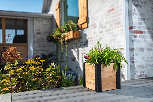 Amazon.com: Vita: Planters