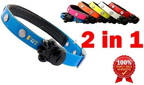Motion Infiniti - Premium Best LED Dog Collar (Blue) – Fashion Safety Collar Protects Your Dog & Cat At Night! - 100% Satisfaction Guarantee or Your!