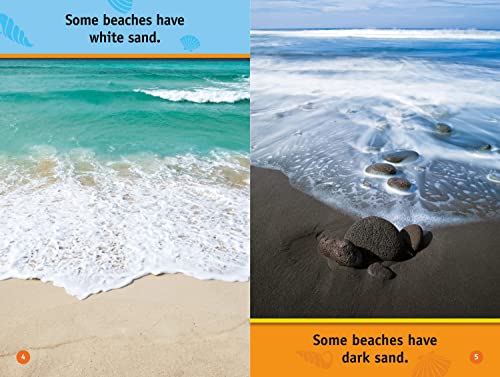 At the Beach: Level 1 (National Geographic Readers) - Image 4