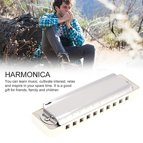 Harmonica, 20 Tons Phosphor Bronze Reed Blues Harmonica Résistant à la Corrosion Beau Son pour Débutants(le noir) - Les Beatles, Paul McCartney, John Lennon, RIngo Starr, George Harrison Harmonica, 20 Tons Phosphor Bronze Reed Blues Harmonica Résistant à la Corrosion Beau Son pour Débutants(le noir) – Image 7