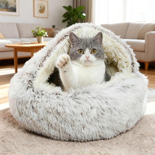 SHJOEE Letto soffice per Cani a Forma di Conchiglia Cuccia per Gatti da 50 cm Calmante Soffice Peluche Letto per Animali Domestici Divano per Lettino Gatto Cesto per Gatto e Cane