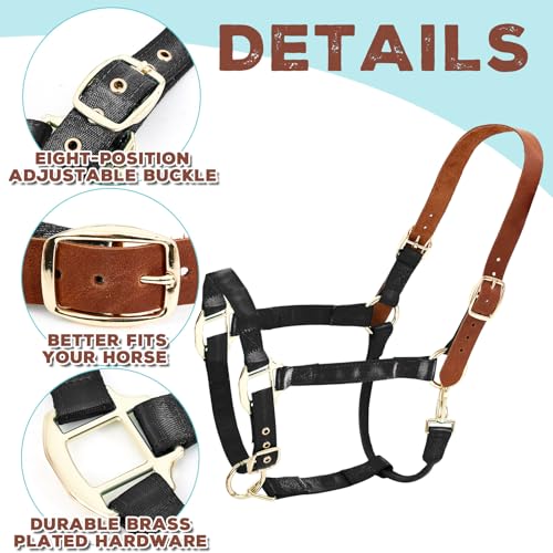 Image of Leather Halter for Horses, Equine Breakaway Nylon Rope Horse Halter with Snap & Adjustable Chin and Throat Snap Hook Halters for Training, Show and Daily Use, Average Size