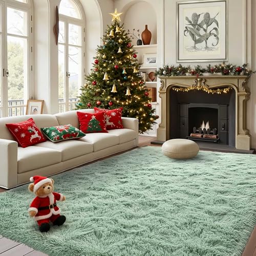 FinRèc Light Green Rug for Bedroom Living Room, 4x6 Feet