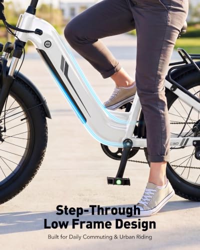 Hopepeak C30 Fat Tire Ebike