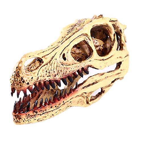 VOANZO Resin Velociraptor Skull Model Replica, Dinosaur Tooth Skull Fossil, Photography Props Teaching Tool Home Ornament - Image 2