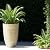Worth 9 Gallon Tall Round Planters Set of 2-14" Dia x 21" H Stone Finish Flower Pots Indoor Decorative Container Garden Patio Unbreakable Beige