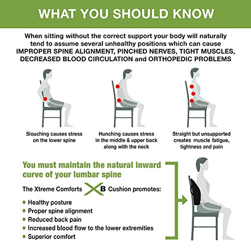 Xtreme Comforts Lumbar Pillow -100% Memory Foam Lumbar Cushion - Adjustable Strap/Carry Bag - Orthopedic Lumbar Support Pillow - Car Office Chair - Hypoallergenic Bamboo Washable Mesh Cover (3 Pack) - Thumbnail 5