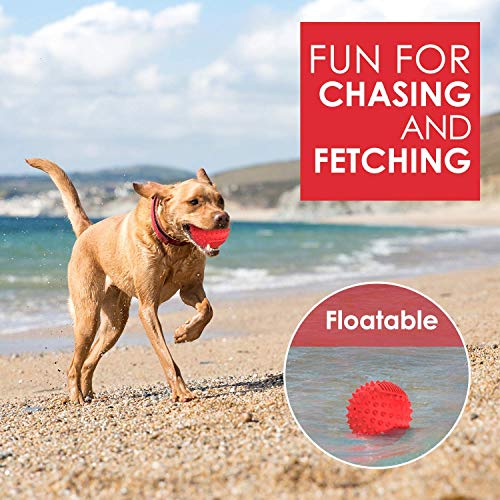 Juego de juguetes mordibles para perros petizer bundle miniatura 3