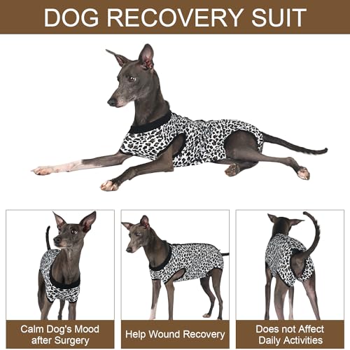 Image of Dog Surgery Suit Female Spay Recovery Suit for Dogs Surgical Recovery Suit for Female Dog Neuter Recovery Suit Male Dogs Onesie for Surgery Fits Small Medium Dog Leopard Print /X-Large