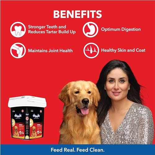 Image of Drools Adult Dry Dog Food Inside Container 5kg | Chicken and Egg Flavour | Omega 3 & 6 for Healthy Growth | Better Digestibility & Health | Maintains Joint Health | Helps Control Tartar Buildup