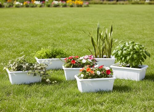 Image of Go Hooked Rectangular Plastic Pots for Plants, Jupiter Flower Pots for Home, Window Display, Garden (Set of 6, White) (35 x 18.5 x 15 cm)