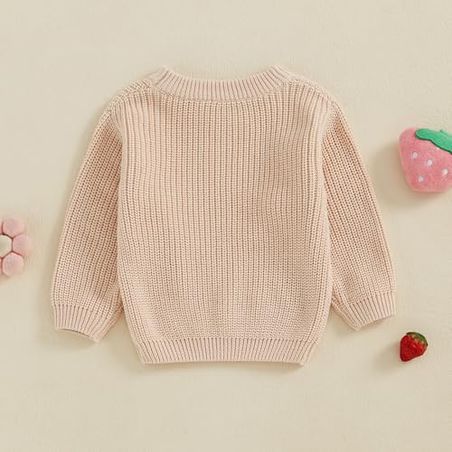 Toddler Girls Sweater Strawberry/Bow/Floral Letter Embroidery Crew Neck Long Sleeve Kids Pullovers Fall Tops4