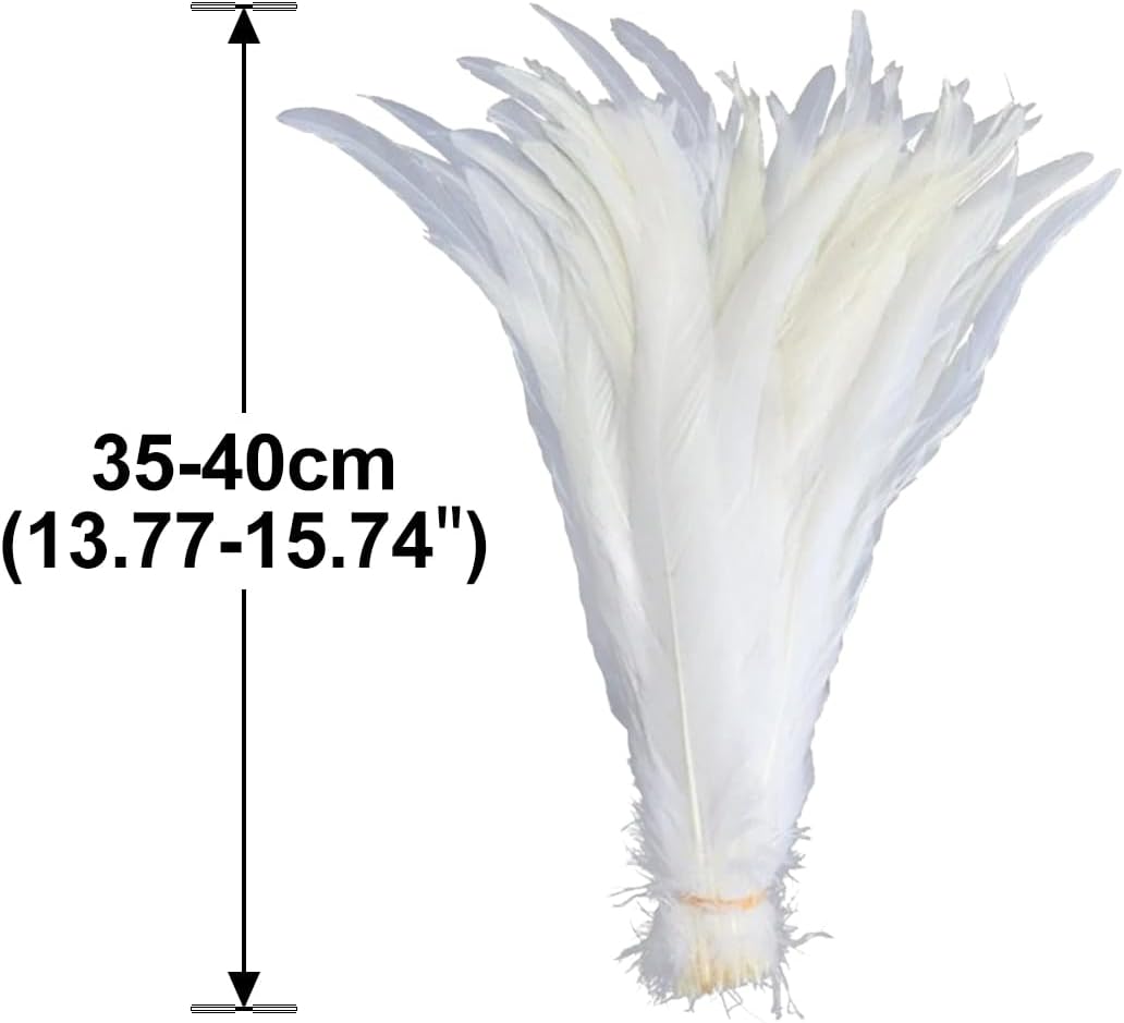 Queenbox 13.8-15.7in 100pcs Cute Craft Rooster Feathers, Bulk Natural Plume for Cosplay Costumes Clothing Jewelry, Pure White