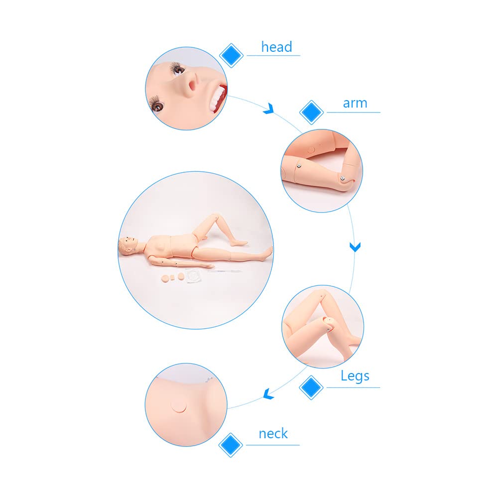 UWYTGF Teaching Model,Human Body Model Nursing Medicine Training Demonstration Model Educational Teaching Dummy, Male, Life-Size PVC