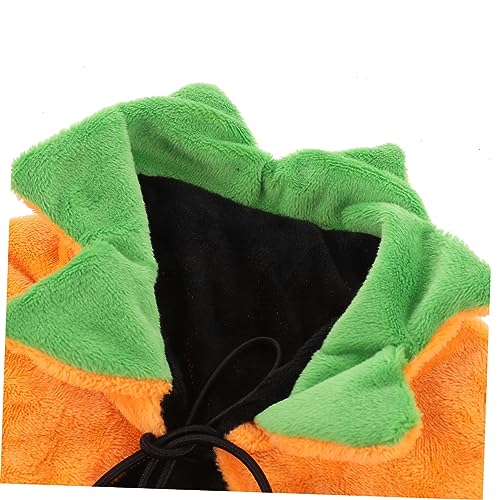 Disfraz capa y gorro de Calabaza Halloween para perros y gatos miniatura 3