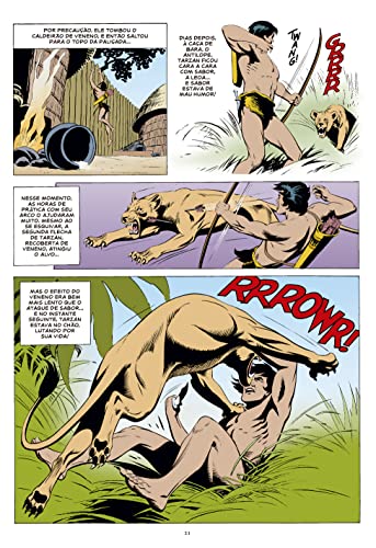Tarzan – A era de Russ Manning