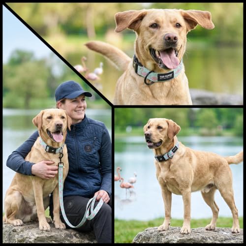 Image of Tuff Pupper Premium Adjustable Dog Collar, Stylish Pattern Collars Designed in USA, Quick Release Buckle, Flamingo Bay Medium (1 Inch Wide x 13-18 Inch Neck)