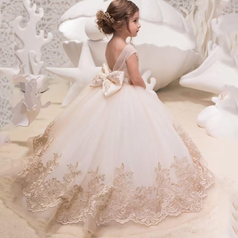 Flower Girl Dress for Wedding Girls Lace Fancy Dress Formal Dress Tulle Girls Ball Gown Kids Pageant Party Dress2
