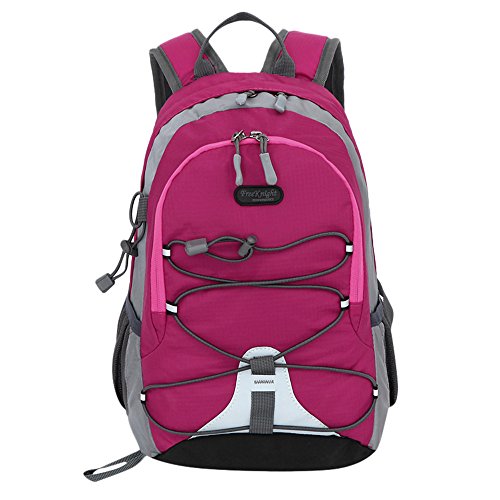 Preisvergleich Produktbild LeeY Multifunktionsrucksack Rucksäcke Notebookrucksack Laptop Outdoor Business Computer Laptop Notebook für Laptop Kinder Damen Herren Schultaschen für Wandern / Reisen / Camping (Pink2)