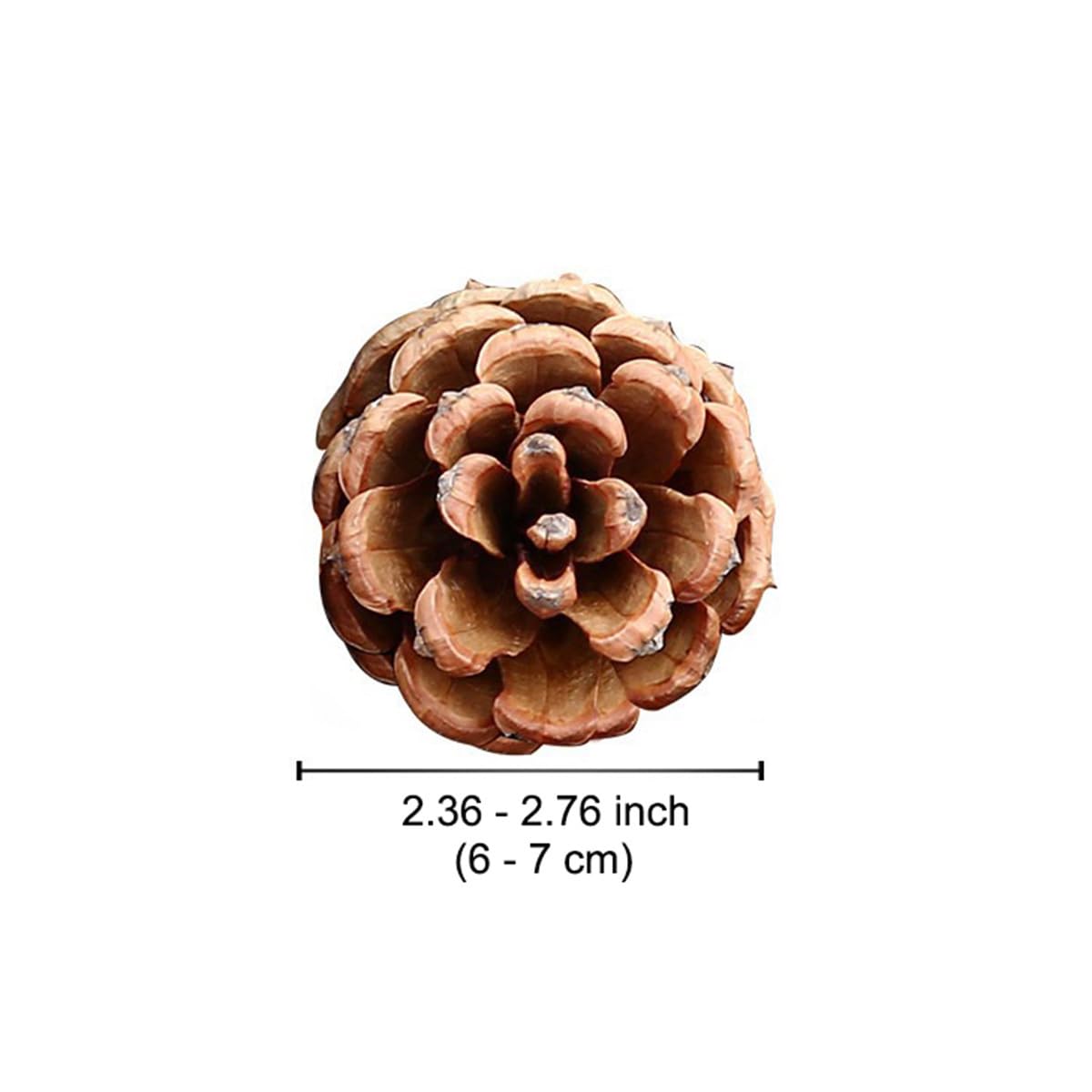 20 conos de pino natural para manualidades, mini piñas de 6 a 7 cm, adornos de piñas pequeñas naturales a granel para manualidades, árbol de Navidad, corona, relleno de jarrón, fiesta de boda