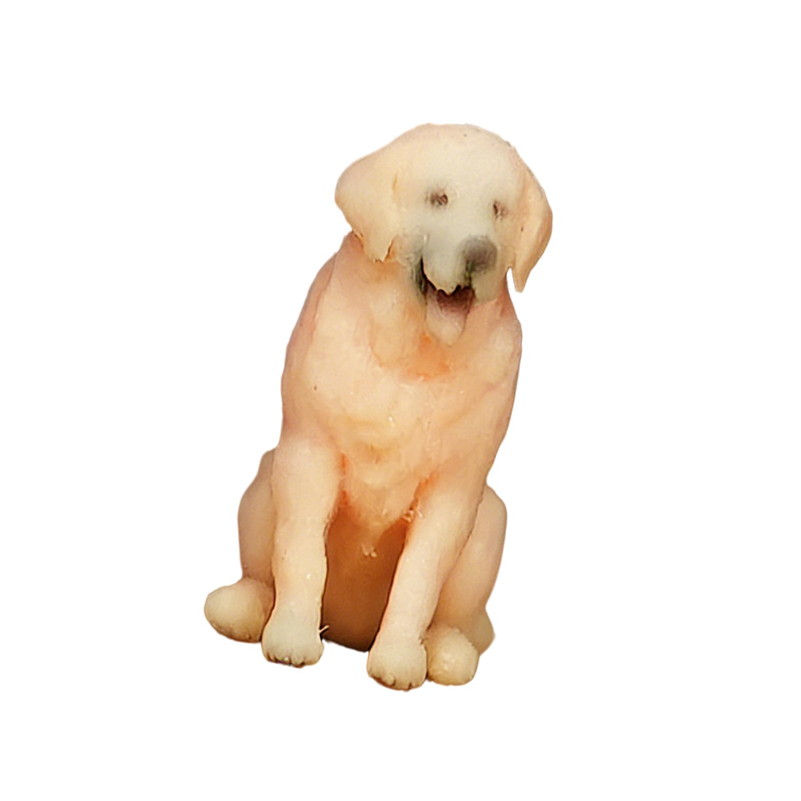 Osniyaw Squatting Golden Ret Artistic Animal Sculpture 1:64 Scale 3D Printed Miniature Dog Model Resin For Display And Decoration Small Pet Sculpture Collecting