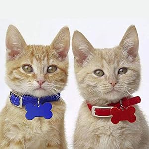   30-Pcs-Bone-Shape-Pet-ID-Tag-Blank-38MM-Personalized-Aluminium-Pendants-Tag-Dog-Cat-Pet-Name-Phone-Number-ID-Tag-Charm-with-Key-Ring-for-Dogs-Cats