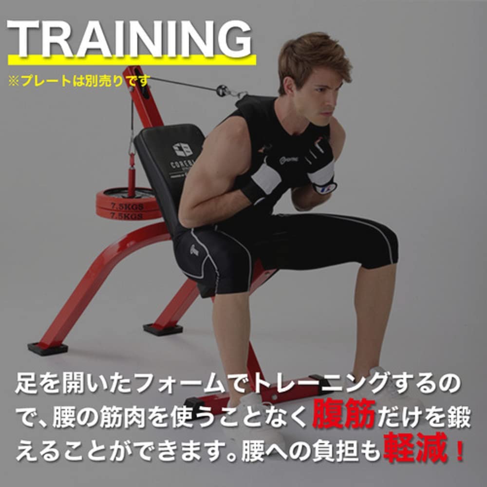 値下げしました！ファイティングロード パワーアブベンチ－ＴＲＵＳＴ ウエイト 計20kg（10kg×2枚）付【引取限定・現状渡し】三重県 Amazon.co.jp: ファイティングロード パワーアブベンチ- TRUST 赤・黒